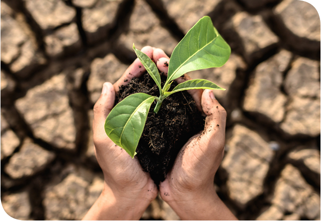 Cambio Climático Imagen